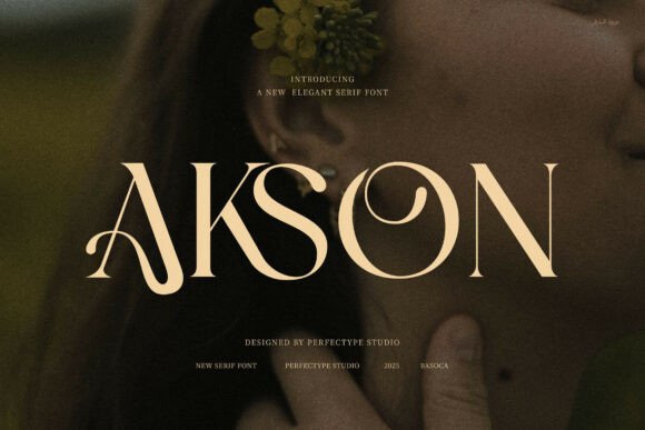 Akson Serif Font: Elevating Web Design with Modern Elegance