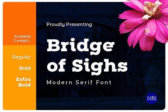 Bridge of Sighs: A Solid Slab Serif Font for Branding