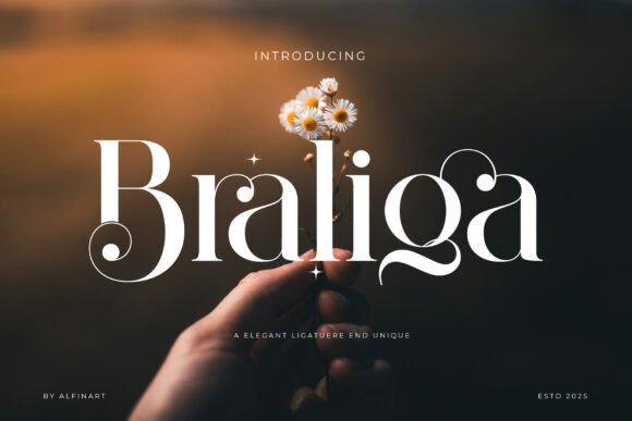 Elevate Web Design with Braliga: A Modern Serif Typeface