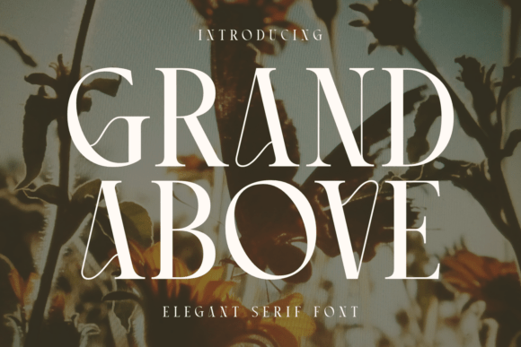 Grand Above: The Serif Font That Elevates Small Business Branding
