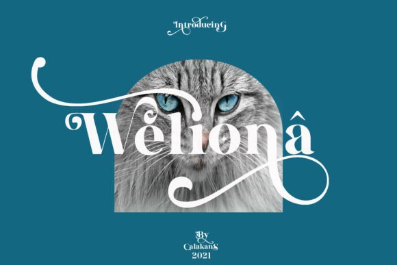 Weliona Review: A Serif with Soul for Modern Branding